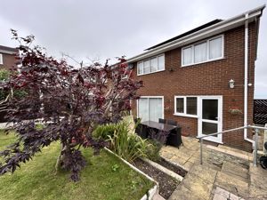 Photo 24- click for photo gallery